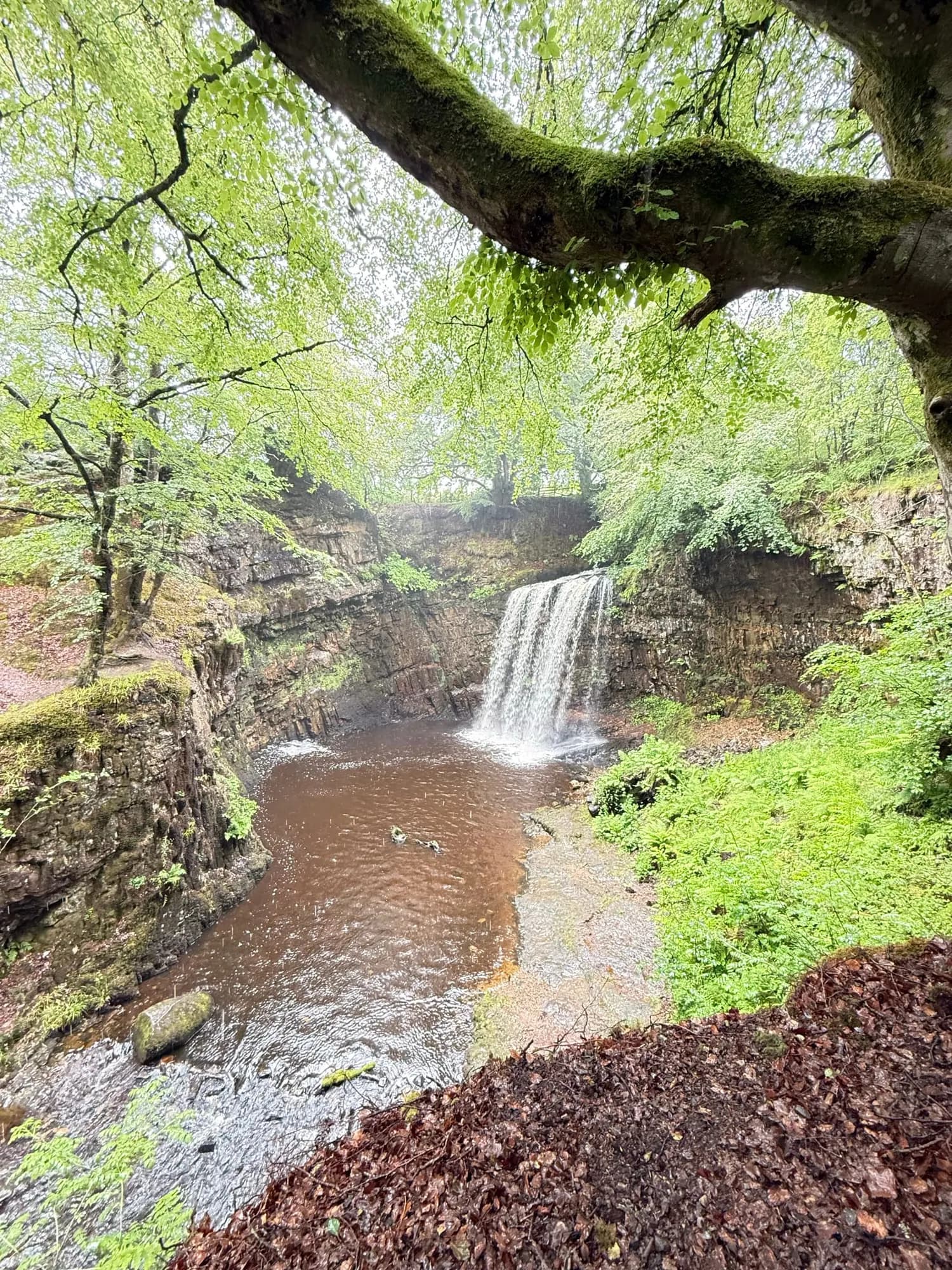 Waterfall pool