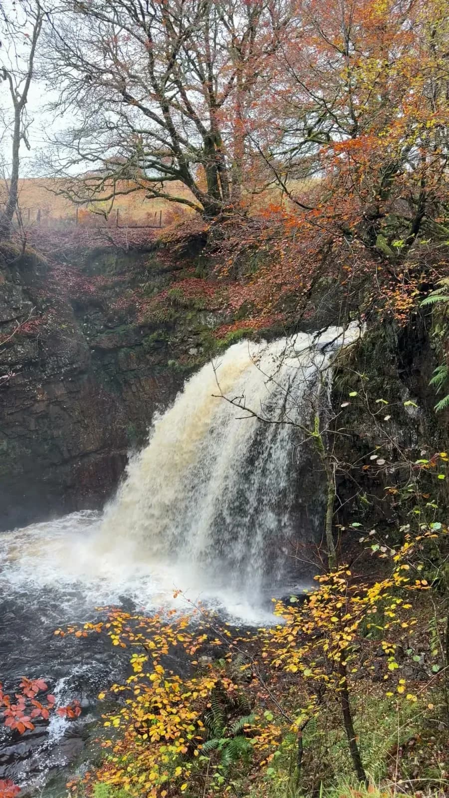 Dalcairney Falls in spate