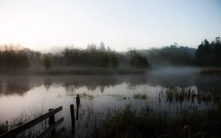 Morning mist on the loch